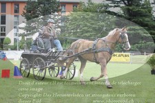 ref. photo 3236856