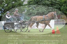 ref. photo 3236857