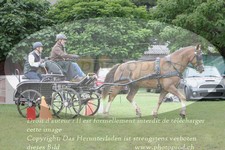 ref. photo 3236870