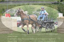 ref. photo 3236873