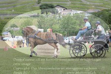 ref. photo 3236877