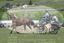 ref. photo 3236881