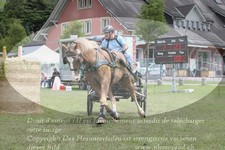 ref. photo 3236883