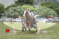ref. photo 3236887
