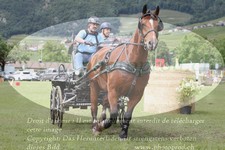 ref. photo 3236890
