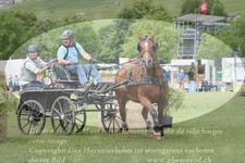 ref. photo 3236899