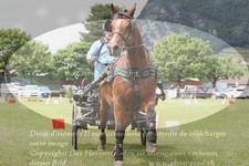 ref. photo 3236902