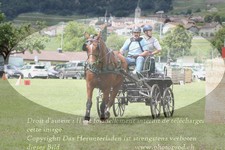 ref. photo 3236903