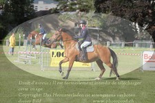 ref. photo 3236931