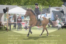 ref. photo 3236936