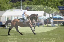 ref. photo 3237005