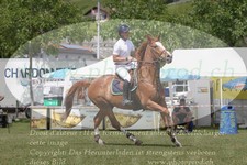 ref. photo 3237021