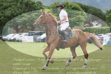 ref. photo 3237026