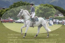 ref. photo 3237051