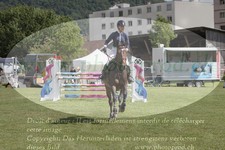 ref. photo 3237061
