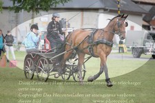 ref. photo 3237068