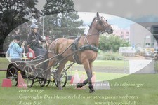 ref. photo 3237074