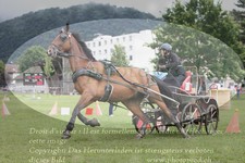 ref. photo 3237076