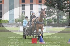 ref. photo 3237077