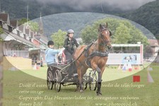 ref. photo 3237081