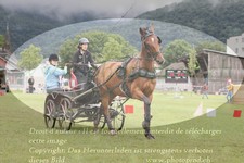 ref. photo 3237082