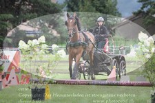ref. photo 3237083
