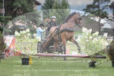 ref. photo 3237084