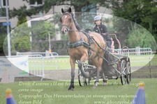 ref. photo 3237087