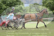 ref. photo 3237089