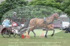 ref. photo 3237090