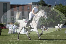 ref. photo 3237101