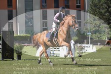 ref. photo 3237116
