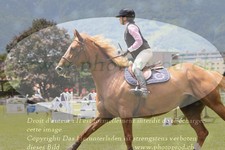 ref. photo 3237124