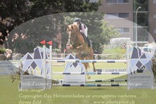 ref. photo 3237126