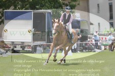 ref. photo 3237129