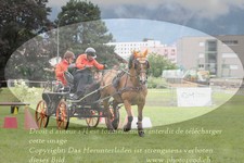 ref. photo 3237152