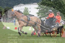 ref. photo 3237155