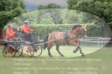 ref. photo 3237157