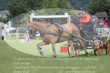 ref. photo 3237159