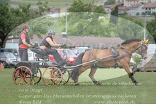 ref. photo 3237162