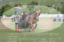 ref. photo 3237164