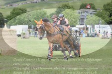 ref. photo 3237169