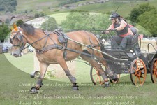 ref. photo 3237170