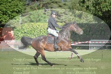 ref. photo 3237177