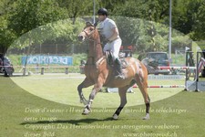 ref. photo 3237185