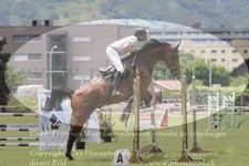 ref. photo 3237195
