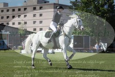 ref. photo 3237268