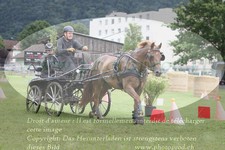 ref. photo 3237351