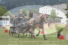 ref. photo 3237367