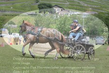 ref. photo 3237387